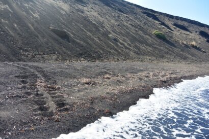 Le tracce lasciate sulla sabbia dalla tartaruga Caretta caretta