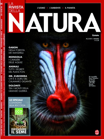 La copertina del La Rivista della Natura 2 - estate 2015 realizzata da Simone Sbaraglia