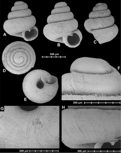 snails (1)