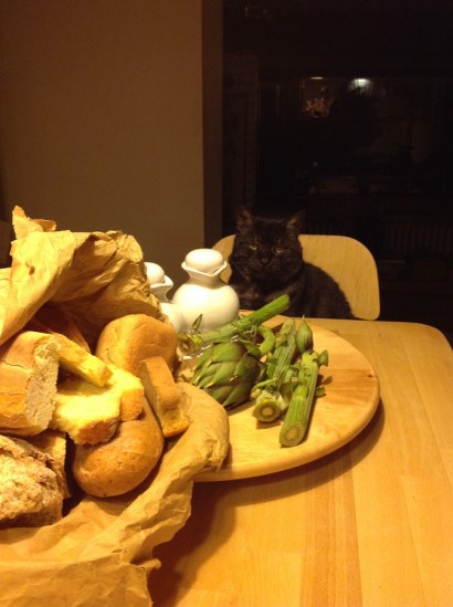 Gli ingredienti della ricetta e Nero, il gatto dell’autrice