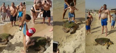 Le immagini scattate in spiaggia con la malcapitata tartaruga