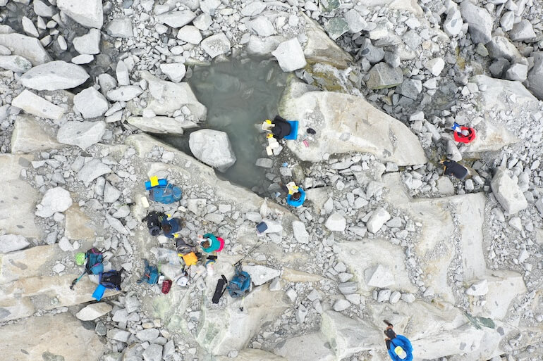 Il Ritiro Dei Ghiacciai Minaccia Gli Invertebrati Alpini