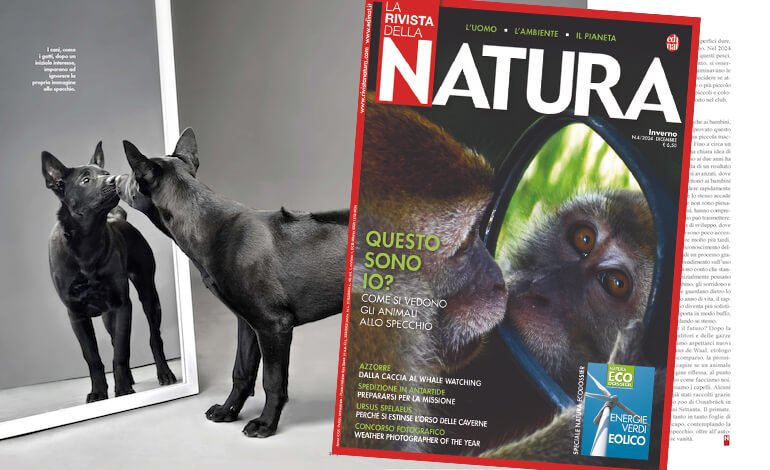 Uscito Il Numero Di Dicembre De La Rivista Della Natura