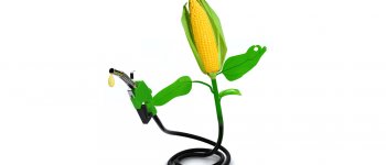 Cala la produzione di biocarburanti