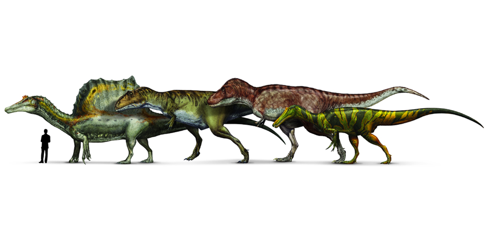 Гигантозавр против. Тираннозавр и гигантозавр. Зухомим и Тираннозавр. Гигантозавр и Тирекс. Тираннозавр, Спинозавр, Гиганотозавр..