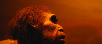 Malattie neandertaliane