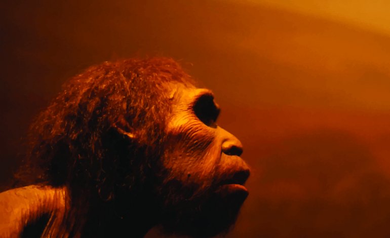 Malattie neandertaliane