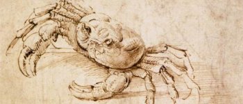 Leonardo e la natura, un rapporto da indagare