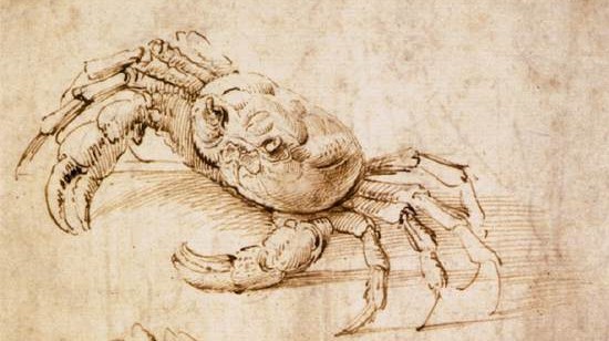 Leonardo e la natura, un rapporto da indagare