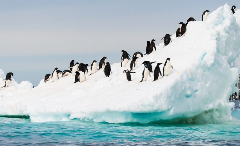 Antartide e Corpo Forestale accomunati da un tragico scioglimento