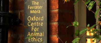 Sperimentazione animale ed etica: qual è il confine?