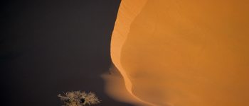 Ombre nel deserto