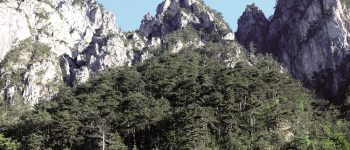 La riserva del Monte Cucco