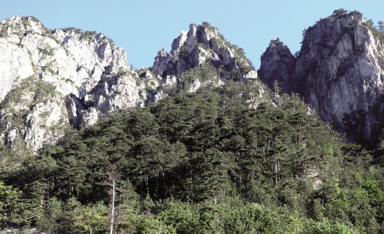La riserva del Monte Cucco