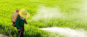 Glifosato, associazioni unite per dire basta al pesticida cancerogeno