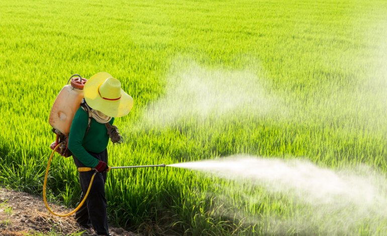 Glifosato, associazioni unite per dire basta al pesticida cancerogeno
