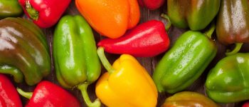 Il peperone: multivitaminico verde, rosso o giallo