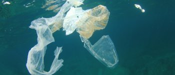 Un mare di plastica: 32 rifiuti ogni chilometro quadrato