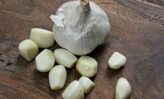 L'aglio, antibiotico naturale