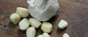 L'aglio, antibiotico naturale