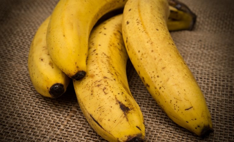 Un fungo mette a rischio la sopravvivenza delle banane