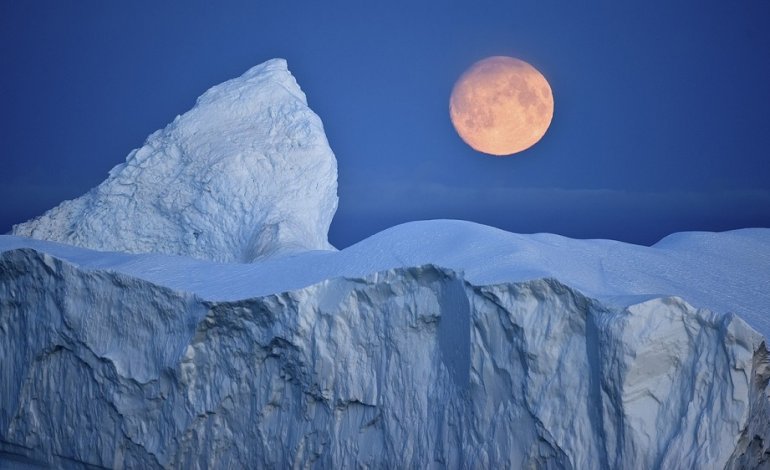 Lo zooplancton segue la luna