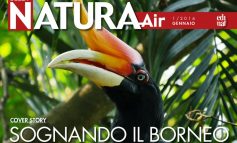 Non perdere il primo numero del 2016 di Rivista Natura Air . È gratis!