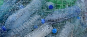 Nel 2050 ci sarà più plastica che pesci