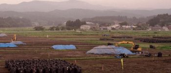 Fukushima, gli impatti ambientali dureranno secoli