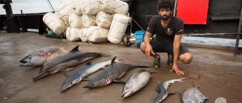 La pesca illegale sta distruggendo l'Oceano Indiano