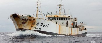 Sea Shepherd intercetta la flotta bracconiera: è cinese
