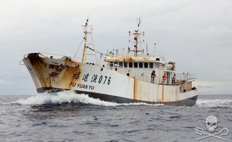 Sea Shepherd intercetta la flotta bracconiera: è cinese