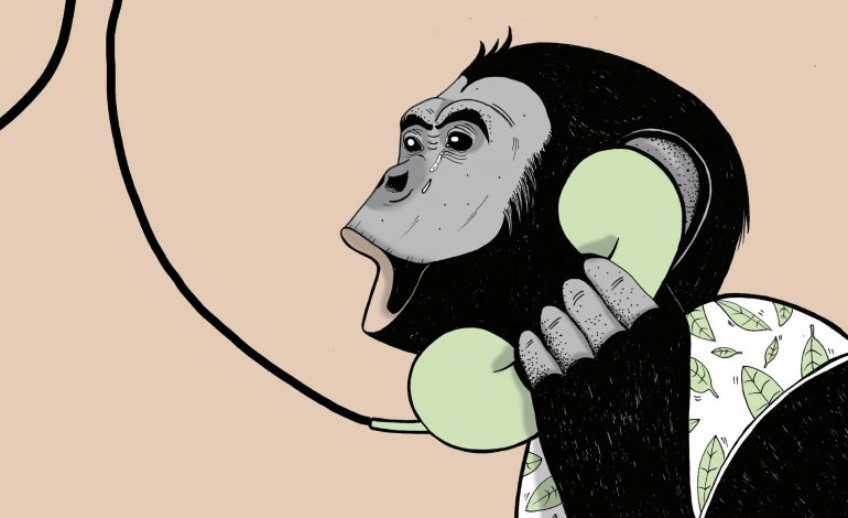 I bonobo si ricordano dei vecchi amici