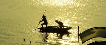 Diminuire la pesca per aumentare il profitto dei pescatori