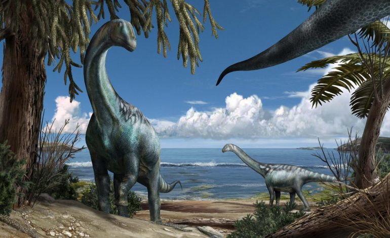 Chi era Tito, il  dinosauro che visse in Italia 112 milioni di anni fa
