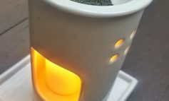 Tè verde e Cha Koro: l'aroma che risveglia i sensi e rinvigorisce
