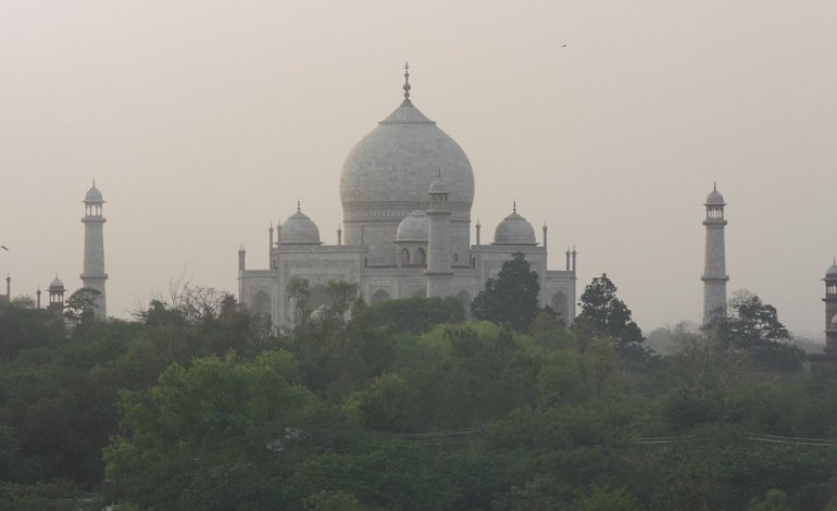 L’India torna verde: al via la riforestazione
