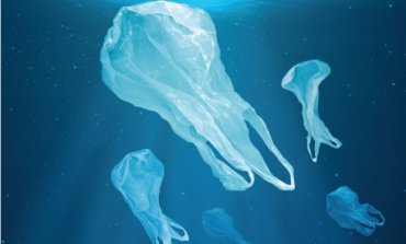 Sentenza UE a favore dei sacchetti di plastica