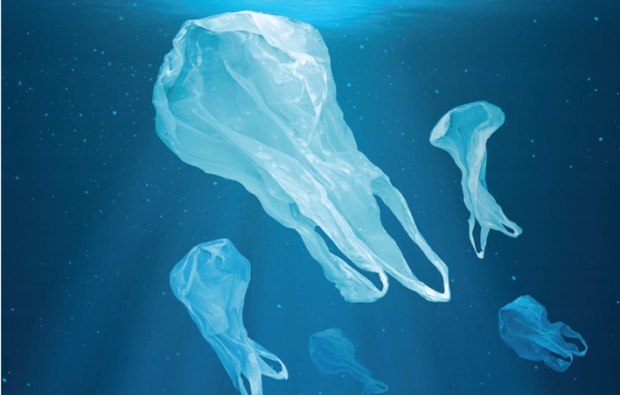 Il falso mito della plastica biodegradabile