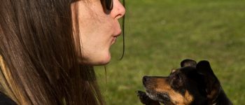 Dialogare con il cane: ecco cosa bisogna fare e cosa no