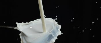Latte, nell'etichettatura dei prodotti diventa obbligatorio indicare l'origine