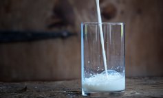 La crisi senza precedenti dell'industria australiana del latte