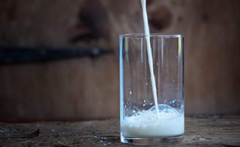 La crisi senza precedenti dell’industria australiana del latte