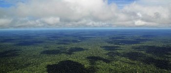 Il tesoro inesplorato: serviranno altri tre secoli per scoprire l'Amazzonia ​