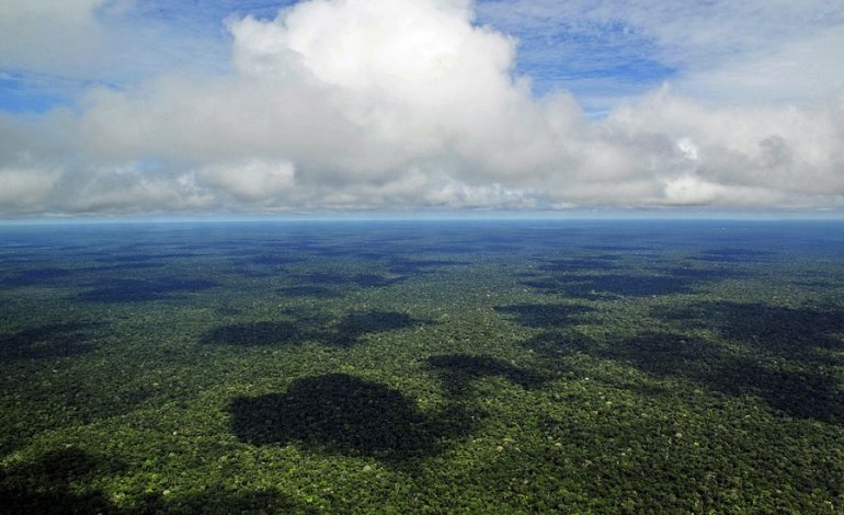 Il tesoro inesplorato: serviranno altri tre secoli per scoprire l’Amazzonia ​