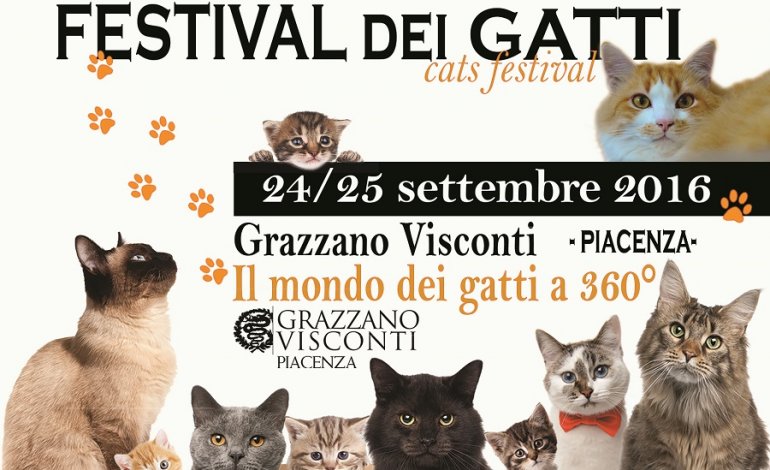 Cat storytelling: cultura felina al Festival dei Gatti