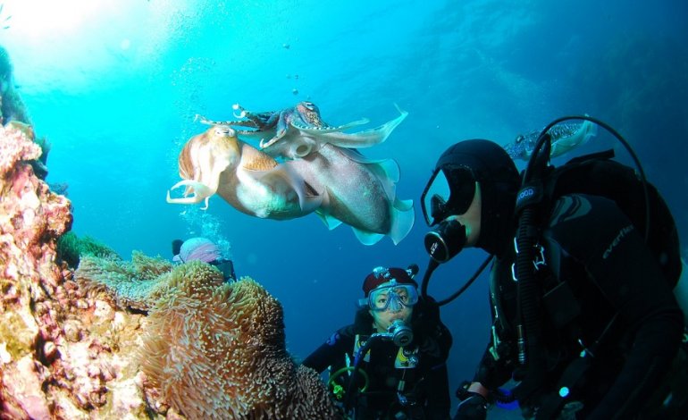 WildSeaEurope: il turismo si fa sostenibile