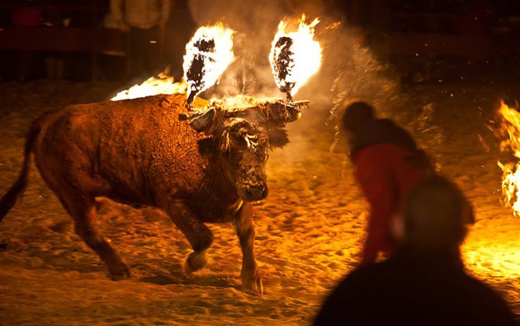 Valencia mette al bando la pratica del toro embolado
