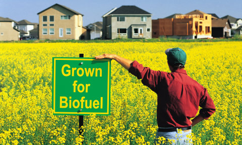 Quali sono i pro e i contro dei biocarburanti