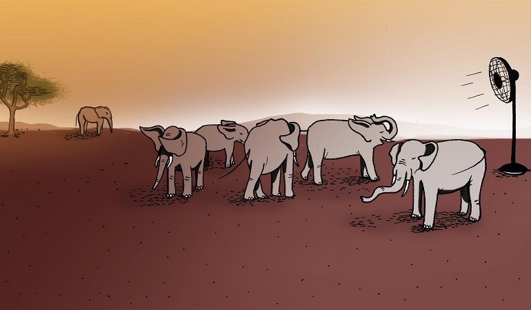Il complesso schema sociale degli elefanti della Namibia